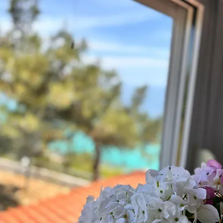 Breathtaking Sea View In *